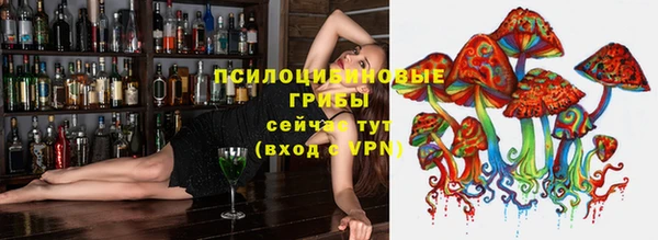 мдма Новодвинск