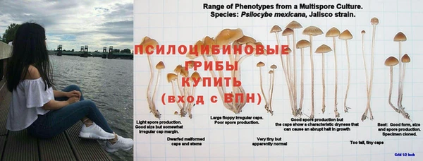 мдма Новодвинск
