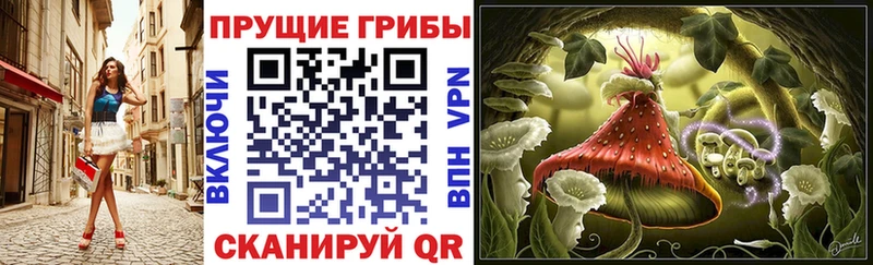 Псилоцибиновые грибы прущие грибы  наркота  Пучеж 