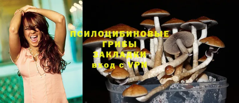 Псилоцибиновые грибы Magic Shrooms  Пучеж 